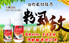 ˹r(nng)I(y)ףwf