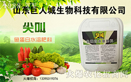 ˳ףµһw³f