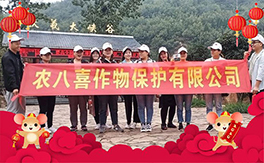 r(nng)ϲףµһ_f