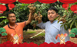 ԴעVԴֲףλ(jng)Nтt