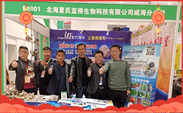 {áףϿ͑д\ؔԴLL³