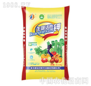 ����-��������