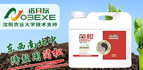 ɽ|Zؐr(nng)I(y)l(f)չ޹˾