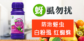 ɽ|(qing)r(nng)Ƽ޹˾