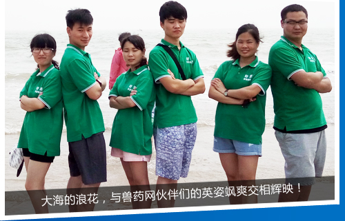 󺣵˻cFˎW(wng)邃ӢSˬxӳ