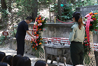 𱬾W(wng)^Sь܊ʾ錢܊I@