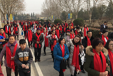 tϲc𱬾W(wng)y(tng)һoĸl(f)ϲct